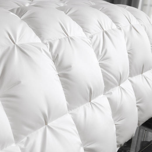 佑家·95白鹅绒冬被·200*230cm  防钻绒工艺 全棉面料 透气不闷汗 商品图3