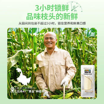 北纬47°爆爆甜水果玉米2.4斤(200g*6根) 东北白甜玉米棒开袋即食鲜玉米 /粮油调味 /杂粮 /谷米类 商品图3