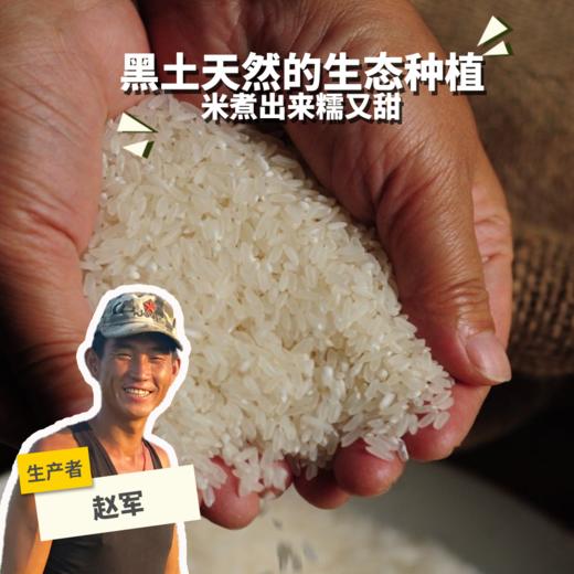 有机五常大米（稻花香二号-粳米） | 合作生产 *Wuchang rice | Coproduction 商品图0