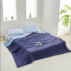 佑家·a类深睡控温亚朵同款夏被200*230cm  100%锦纶 裸肌级凉感面料 商品缩略图2