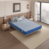自然醒针织面料弹簧席梦思床垫天然椰棕乳胶床垫家用卧室软垫儿童学生宿舍垫子租房专用垫SA 商品缩略图2