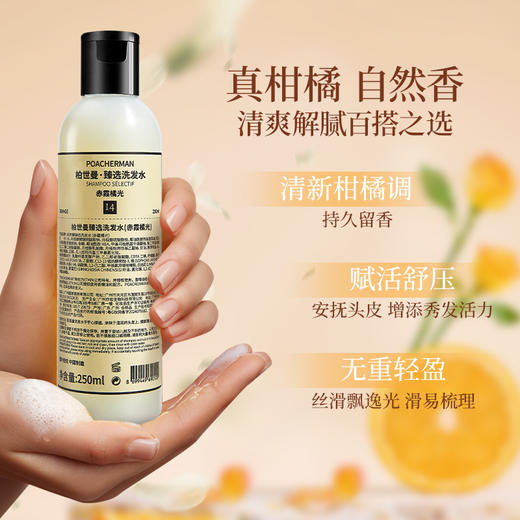 柏世曼香氛洗发水橘香橘子味 深层滋养温和清洁修复受损洗发乳 商品图2