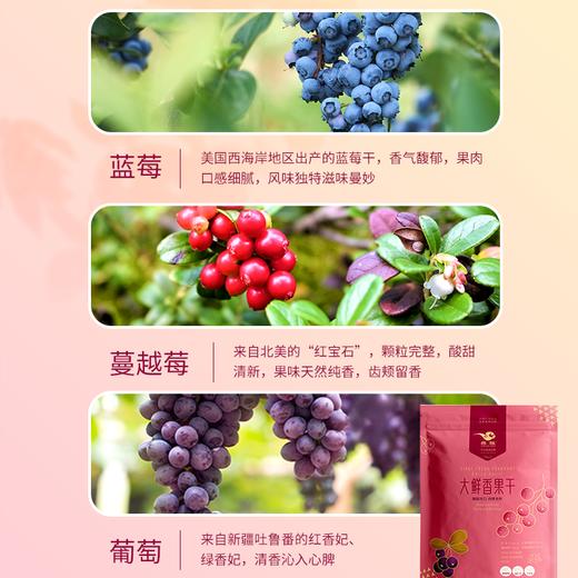 【广州帮扶】燕联丨大鲜香果干（立式袋装）345g 商品图2