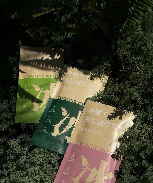 18.9到手10条「降温湿巾」，马拉松、越野赛专业运动员指定降温冰巾四重植物精油天然留香防蚊驱虫干爽不反粘告别闷热基地直邮 商品图2