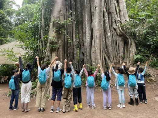 西双版纳6天亲子营（2025夏令营） 商品图3