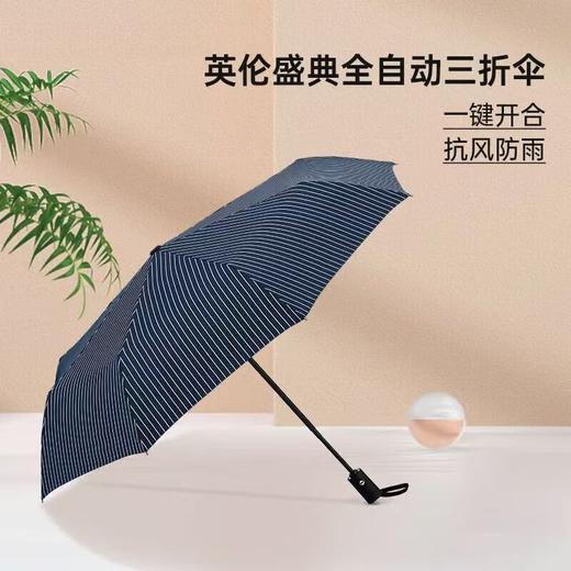 珍妮花英伦盛典全自动伞(JCS006) 商品图0