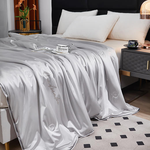 金丝莉 100贡缎全棉纯蚕丝被JB-1375/JB-1500 商品图1