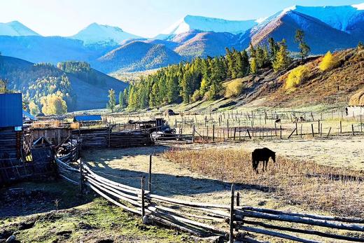 约伴行—【光影喀纳斯】百里丹霞、独山子大峡谷、乌尔禾魔鬼城、禾木、喀纳斯、白哈巴、乌伦古湖8天深度旅拍 商品图3