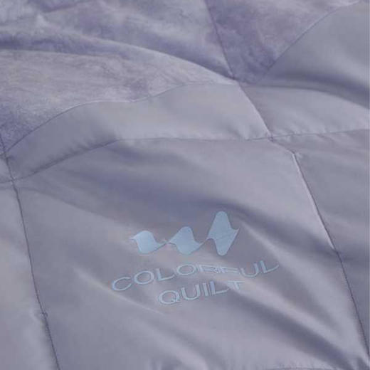 佑家·95白鹅绒夏被 200*230cm  绒朵神奇排湿术 舒适清爽 拒绝闷汗 商品图1