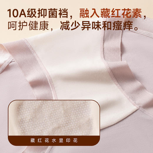 藏红花-40S莫代尔-10A抑菌高腰女士内裤2944 商品图2