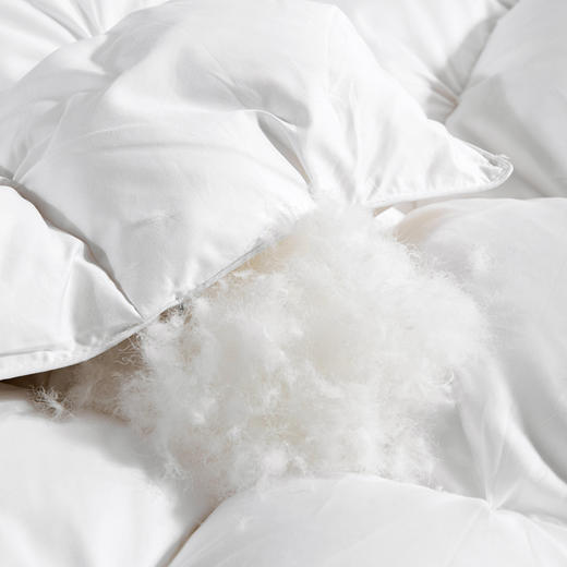 佑家·95白鹅绒冬被·200*230cm  防钻绒工艺 全棉面料 透气不闷汗 商品图4