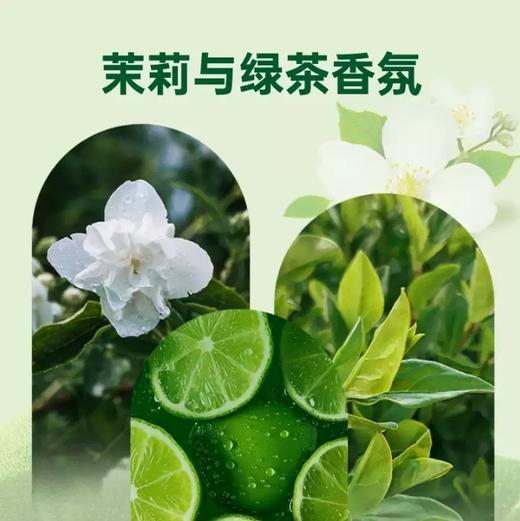 滴露洗手液家用   茉莉绿茶倍护温和促销儿童抑菌护手洗去污1.15 商品图2