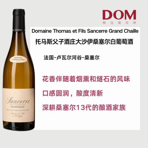 托马斯父子酒庄大沙伊桑塞尔白葡萄酒 THOMAS & FILS Sancerre Blanc Grand Chaille 商品图0