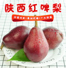 【陕西红啤梨】色泽鲜红、形如葫芦、核小无渣、甜蜜多汁、可以吸得梨子 商品缩略图0