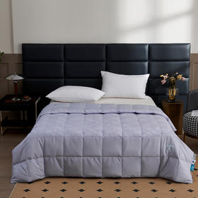 佑家·95白鹅绒夏被 200*230cm  绒朵神奇排湿术 舒适清爽 拒绝闷汗