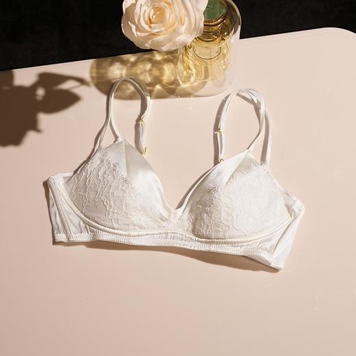 雀说新款春季蕾丝轻盈无钢圈桑蚕丝内裤三角法式双肩带女文胸AL0165 商品图9