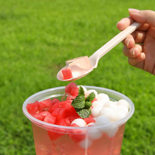 【批发】美丽雅玉米淀粉基厚韧餐勺 商品图5