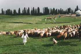 新疆天山来客独库 9天8晚