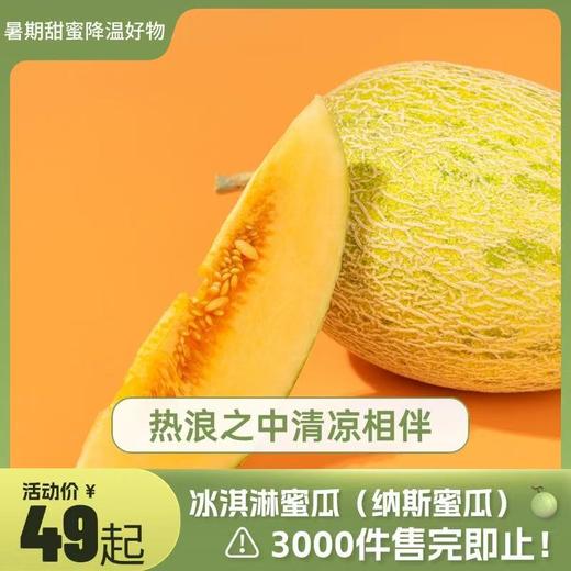 新疆冰淇淋 蜜瓜多规格新疆顺丰陆运发货 商品图0