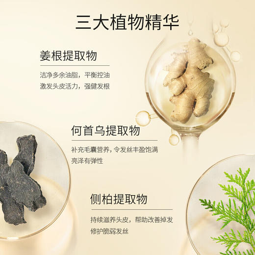 阿道夫姜护理专研洗发水(防脱固发)300ml【XPTX】 商品图5