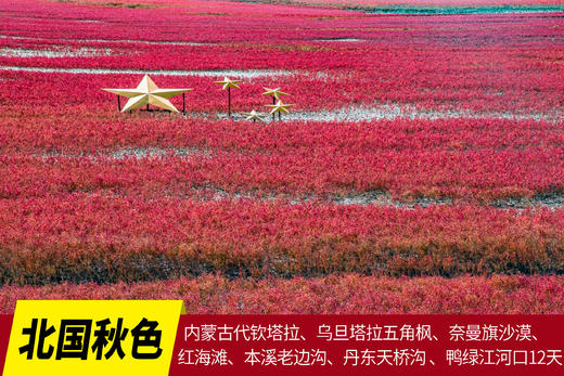 10.8确定出发【北国秋色】内蒙古代钦塔拉•乌旦塔拉五角枫•奈曼旗沙漠•红海滩•本溪老边沟•丹东天桥沟•鸭绿江河口12天 商品图0