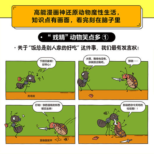 《谢耳朵漫画·动物大爆炸》全5册   8岁+  18大主题、170+种动物、1000+科普知识  看起来不可思议却真实存在的动物科普 一边哈哈大笑，一边猛涨知识，让孩子爱上科普！ 商品图4