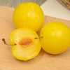 【汉源桃花李】顺丰包邮 去皮纯甜 软糯香甜 汁水丰富 果型圆润饱满 肉厚核小 4种规格任选 商品缩略图0