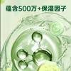 滴露洗手液家用   茉莉绿茶倍护温和促销儿童抑菌护手洗去污1.15 商品缩略图3