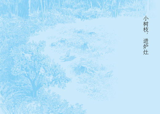 西魔女之死  〔日〕梨木香步/著  （8~14岁）治愈书 治愈文学 植物治愈 心理疗愈 祖孙亲情 成长小说 外婆的道歉信 勿忘我 魔法象 广西师范大学出版社 商品图6