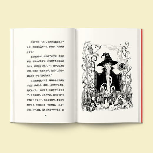 《魔法象法语大奖书屋》全三辑（共15册） 商品图7