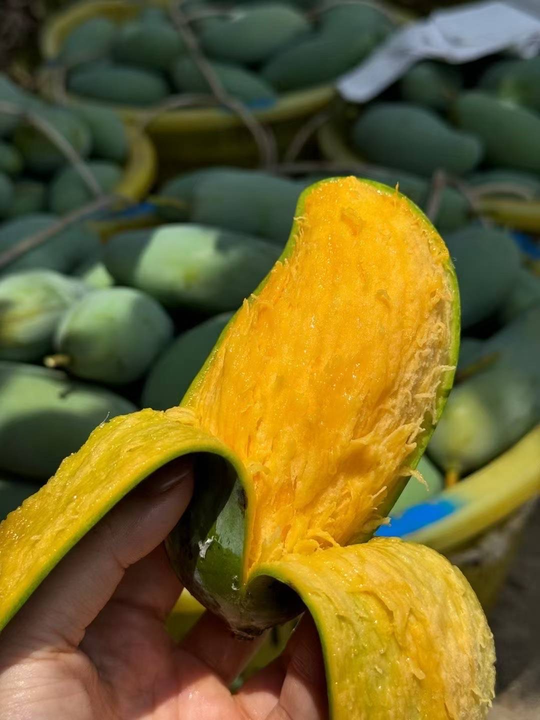 【甄选】精品桂七大果 礼盒装 产地直发