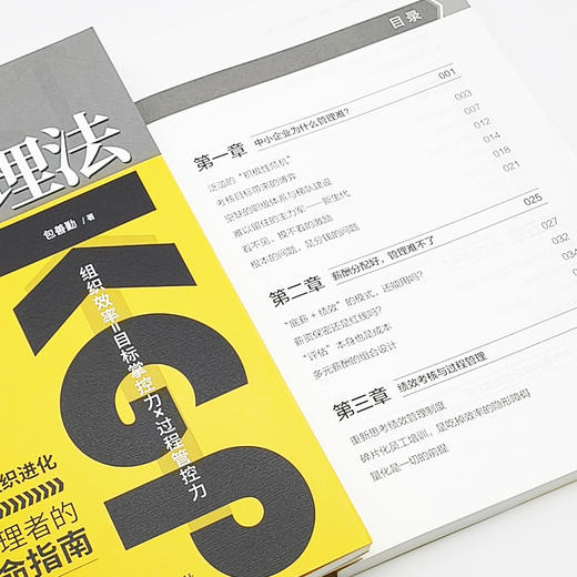 KGP绩效管理法：团队自驱增长新引擎 商品图4