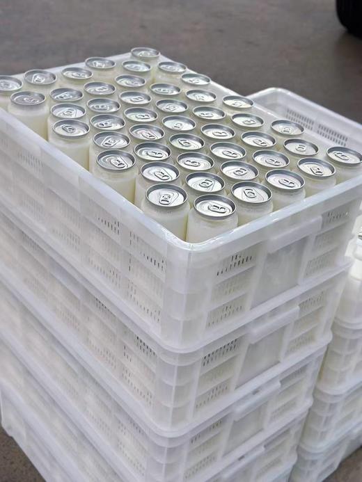 青海雪山牦牛新鲜手工酸奶清真 有糖 无糖可选顺丰包邮 248g/瓶*8瓶  每天现做现发 保质期8-10天 商品图3