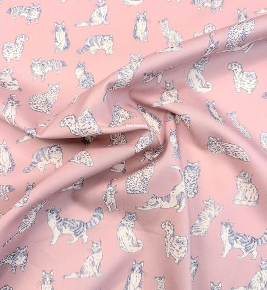 LT280A 动物系列胶囊限定 MEOW 喵星日常 粉色 猫咪 邮费到付 269元/米 商品图3