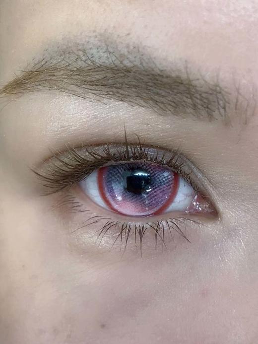 isoralook 半年抛 光雾溢出 直径14.5mm着色14.2mm 商品图2