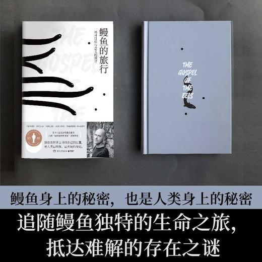 鳗鱼的旅行 十六届文津奖推荐图书 荣获奥古斯特文学大奖 商品图3