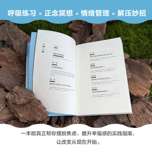 【樊登解读书】10倍的平静 商品图2