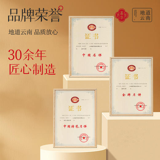 嘉华月饼  精制云腿月饼10枚经济装 800g  云南特产中秋点心 商品图8