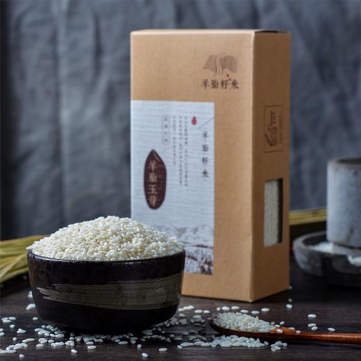 【羊脂籽米】·1kg·玉珠/玉芽 商品图2