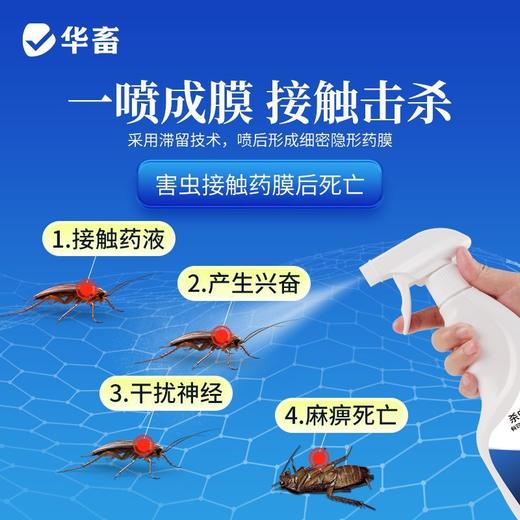 呋虫胺杀虫剂蟑螂跳蚤蚂蚁小飞虫臭虫苍蝇药家用室内专用驱虫喷雾 商品图3