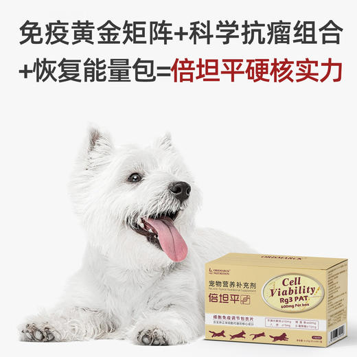 倍坦平-细胞免疫调节包衣片 商品图2