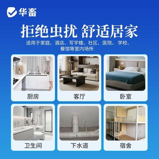 呋虫胺杀虫剂蟑螂跳蚤蚂蚁小飞虫臭虫苍蝇药家用室内专用驱虫喷雾 商品图6