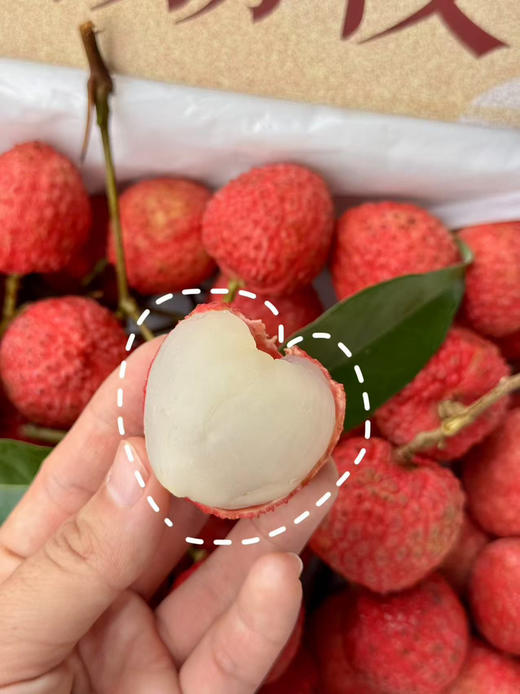 顺丰包邮到家，夏天和好吃的荔枝约个会
麻垌情人荔按时期上架开团🔛
荔枝控们的最爱
只选老树果，果大肉多，超多汁水，Q弹鲜甜，荔枝味浓郁，恰到好处的甜蜜滋味，超级满足，人间惬意呀！！2.8斤/箱 商品图0