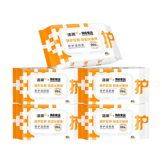 洁柔 湿厕纸40片*5包(新旧款式随机) JR0MLS405B 商品图0