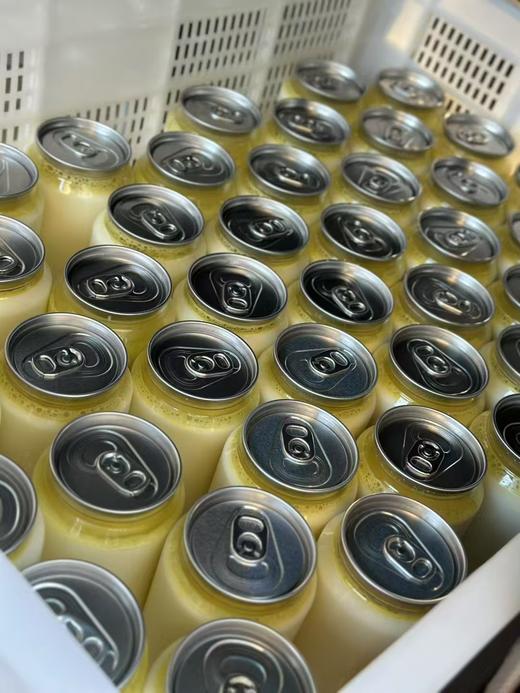 青海雪山牦牛新鲜手工酸奶清真 有糖 无糖可选顺丰包邮 248g/瓶*8瓶  每天现做现发 保质期8-10天 商品图2