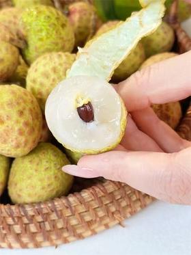 观音绿荔枝（2.5斤装）