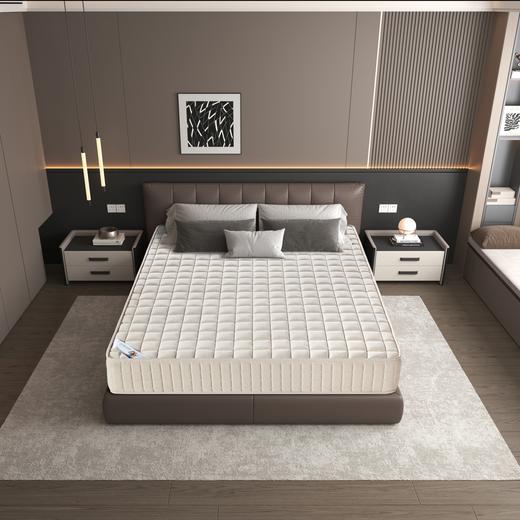 自然醒华夫格弹簧椰棕床垫五星级专用天然乳胶席梦思床垫弹簧垫黄麻3D丝软硬垫子SA 商品图1