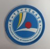 通版佛山市第四中学附属学校包边校徽布标姓名贴章可缝烫现货发51 商品缩略图0