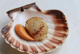 法国法国圣雅克帝王扇贝 半壳 冷冻