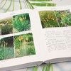 中国宿根花卉 &3261 商品缩略图3